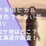 宇多田ヒカルの何色でもない花のMVの画像