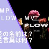IMP.のFLOWのMVの花の画像