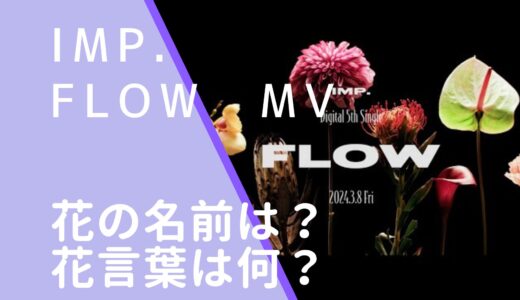 IMP.｜FLOWMVに出てくる花の名前や花言葉は何？反対から読むとWOLF！
